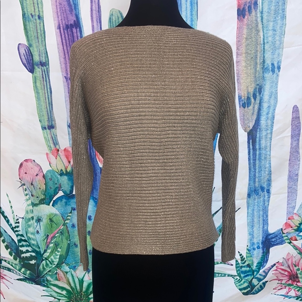 Elegant Silver Women's Sweater